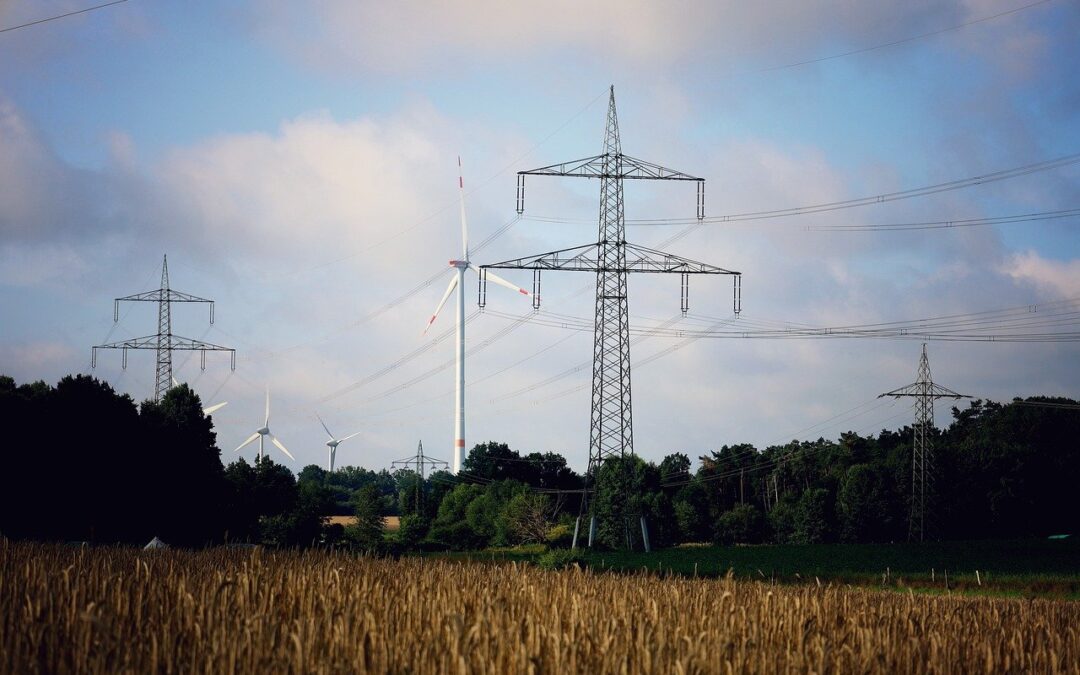 Photo: Power line